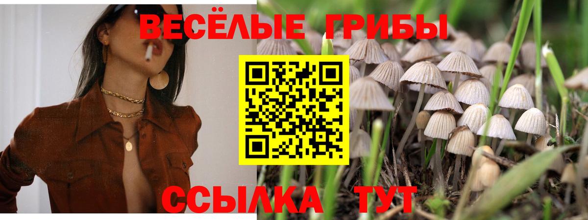 Галлюциногенные грибы MAGIC MUSHROOMS  Псилоцибиновые грибы ЛСД  Вход с VPN  Полевской 